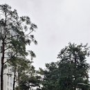 우산종로약국 이미지
