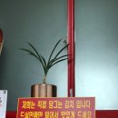마나의 쉰일곱번째 먹부림 멋부림 : 아산 주말 웨이팅 2시간 걸려먹은 탕수육 목화반점 후기
