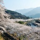 일동농협주유소 이미지