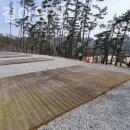 솔향기길야영장 이미지