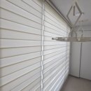 금산느티나무 이미지