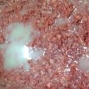 스타켄넬 이미지