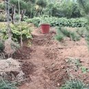 소로3-189 이미지