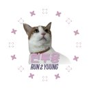 (주)페이스메이커 | 7979 서울 러닝크루 SRC 페이스메이커 광화문 후기 (신청방법 포함)