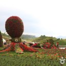 순천만국제정원박람회, 자연 생태정원에서 펼쳐지는 꽃들의 향연 이미지