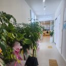 바른나무신경외과의원 이미지