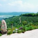 오름농장 이미지