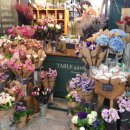 돈돈가든 이미지