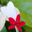 국토토지행정사사무소 이미지