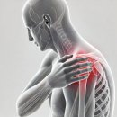 ARTGYM | [방학동PT] 오십견 증상 완화 운동법 아트짐에서 체계적으로 관리하세요