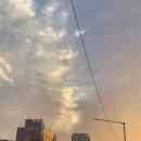 웅이네오돌뼈소사범안점 이미지