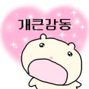 네코마오