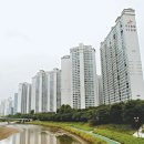 분당-124 이미지