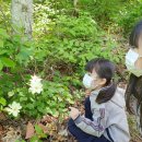 풍산초병설유치원 이미지