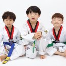 봉화태권도장 이미지