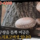 숲사랑농원 이미지