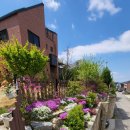 범과같이 이미지