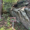 서울중앙교회 개방화장실 | 일상/ 서울 종로구 / 막차 탑승한 청와대 관람후기(feat. 밥집 발견)