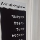 데일리 동물병원 이미지