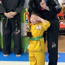 용인대 동양합기도 이미지