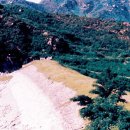 원산저수지 이미지