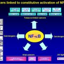 자연의학요법과 암치료의 지상목표 NF-카파B (1) 이미지