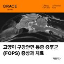 그레이스 고양이 심장&치과병원 이미지