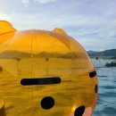 슈가브리움 3 이미지