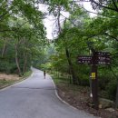 용추휴양림(상) 이미지