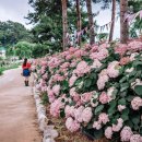 꽃내미풀꽃이랑마을 이미지