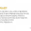 쏘밍컴퍼니 네이버블로그