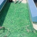 상주고등학교 이미지