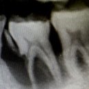 연세엘치과의원 이미지