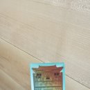 진여아트
