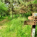 오룡산 등산로 입구 이미지