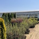 대림가든 이미지