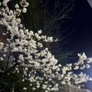 하이츄우 이미지