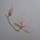 꽃그림 보타니컬아트 이미지