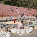 시티팰리스 이미지