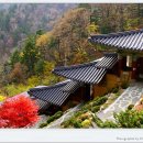 평창 오대산 중대 적멸보궁 이미지