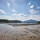 다맥어촌체험마을 Daum카페