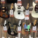 화이트텔 이미지