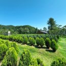 장기목장 이미지