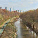 우면산3-11 이미지