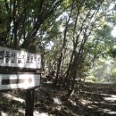 곶자왈거문오름 이미지