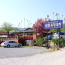 팔공유황오리