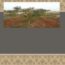 춘수농장 이미지