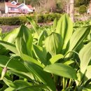 종명농장 이미지