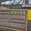 영 농장 티스토리