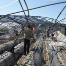 가지리부대 이미지